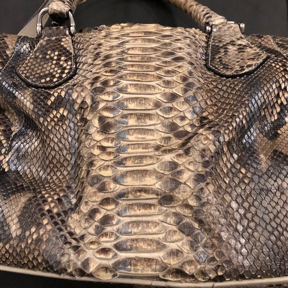 Python Sachel - image 3